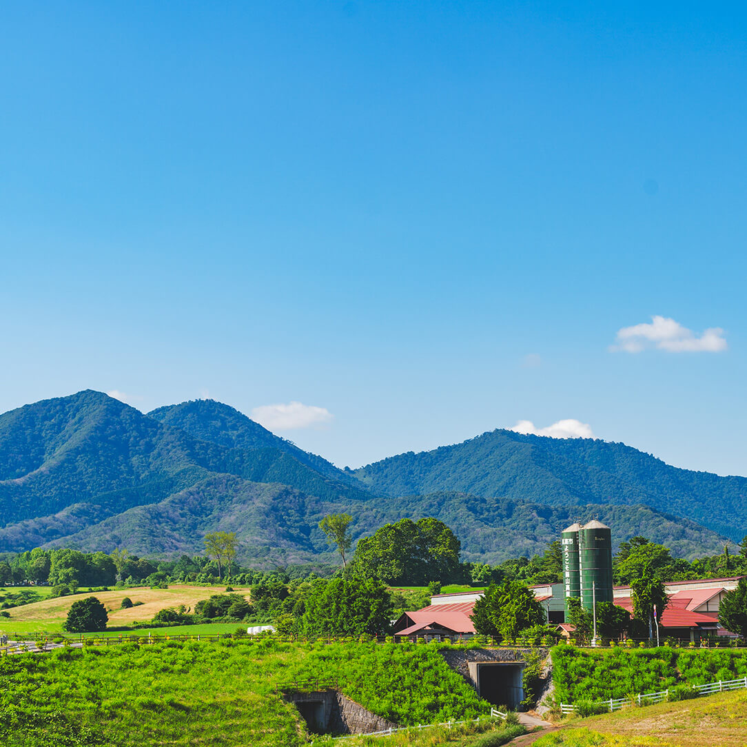 岡山県真庭市エリア